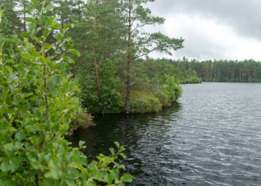Göl kıyısı ve su manzarası, bulutlu gökyüzü, sisli ve yağmurlu hava, sonbahar doğası
