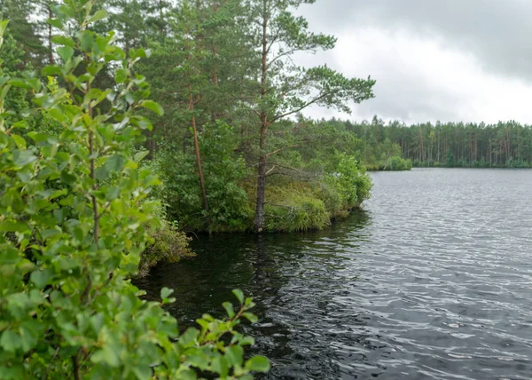 Göl kıyısı ve su manzarası, bulutlu gökyüzü, sisli ve yağmurlu hava, sonbahar doğası