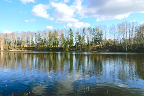 Paysage Printanier Coloré Avec Des Reflets Lacs Nuages Arbres Sur — Photo