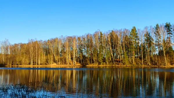 Paysage Printanier Coloré Avec Des Reflets Lacs Nuages Arbres Sur — Photo