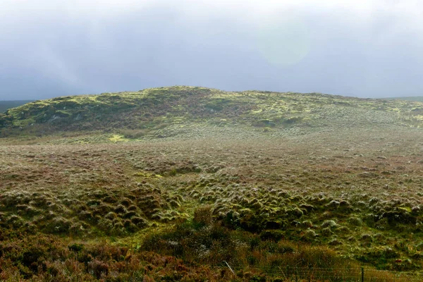 Medan Marshy Lanskap Irlandia Tradisional Langit Mendung Keluar Dari Fokus — Stok Foto