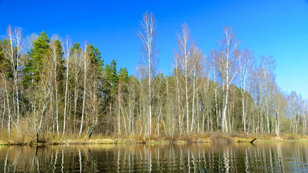 Paysage Printanier Coloré Avec Des Reflets Lacs Nuages Arbres Sur — Photo