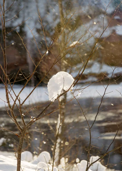 Formação Neve Galho Árvore Luz Fundo Dia Mágico Inverno — Fotografia de Stock