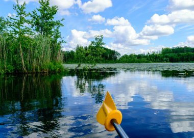 Küçük bir gölet manzarası, yeşil su zambağı yaprakları, gölün yüzeyindeki bulutların yansımaları, parlak yaz güneşi ışığı, sarı bir kürek