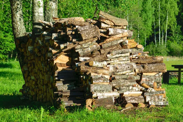 Prepared Firewood Winter Heating Period Energy Crisis Expensive Heating — Fotografia de Stock