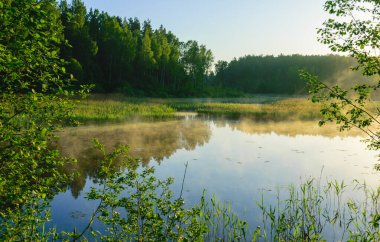 Yaz gölü manzarası, sabah sisi, gölün üzerindeki sabah sisi.