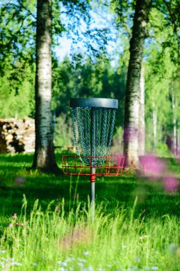 landscape from the park, summer morning, disc golf cart in a birch grove