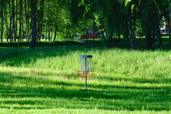 Landschap Vanuit Het Park Zomerochtend Disc Golfkar Een Berkenbos — Stockfoto