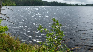 Göl kıyısı ve su manzarası, bulutlu gökyüzü, sisli ve yağmurlu hava, sonbahar doğası