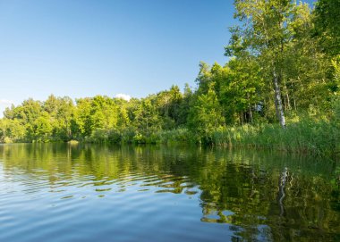Güneşli bir yaz gününde gölün yeşil kıyı manzarası sakin göl suyunda yansıyor.
