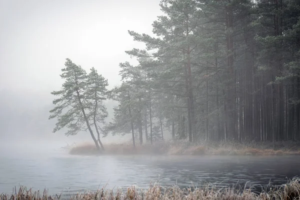 fog landscape with the first frost near the bog lake, tree silhouettes on the background of fog, calm reflection of water on the water surface, fog blurred horizon, winter