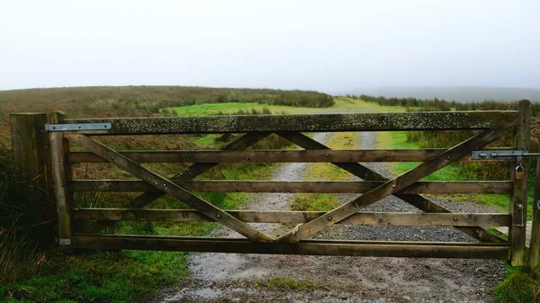 시골길 구름낀 아일랜드 풍경에 초점을 맞추고 — 스톡 사진