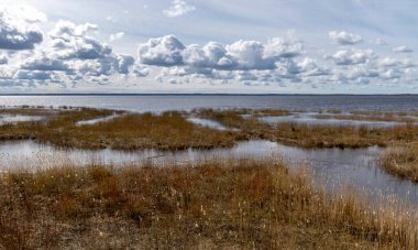 Sel basmış göl kıyısı, geçen seneki sazlıklar ve çalılarla kaplanmış, kuş göçü, güzel kümülüs bulutları, Silzemnieki çayırları, Burtnieki, Letonya