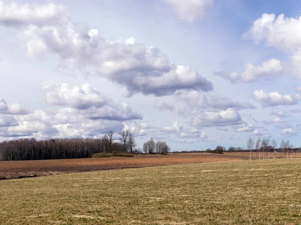 Einfache Ländliche Landschaft Schöne Kumuluswolken Silzemnieki Wiesen Burtnieki Lettland — Stockfoto