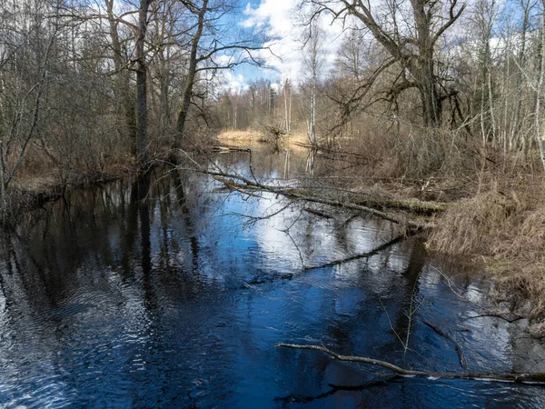 橋からの川の景色 早春の小さな川 青い空と水の中の反射 葉のない木 日当たりの良い春の風景 ルヤ川 ラトビア — ストック写真