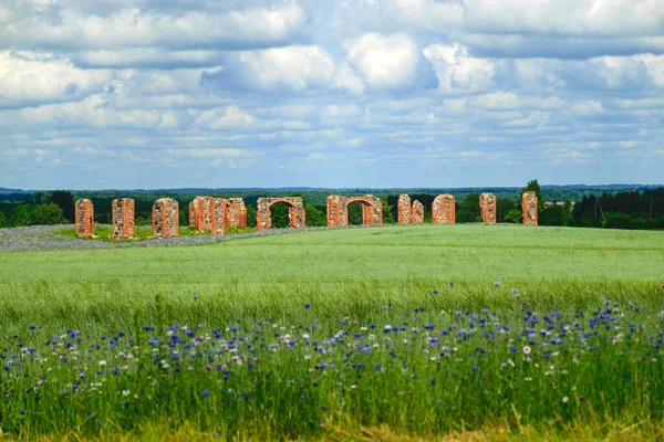 Field Cornflowers Ruins Old Barn Horizon Unofficial Tourist Attraction Resembles — Fotografia de Stock