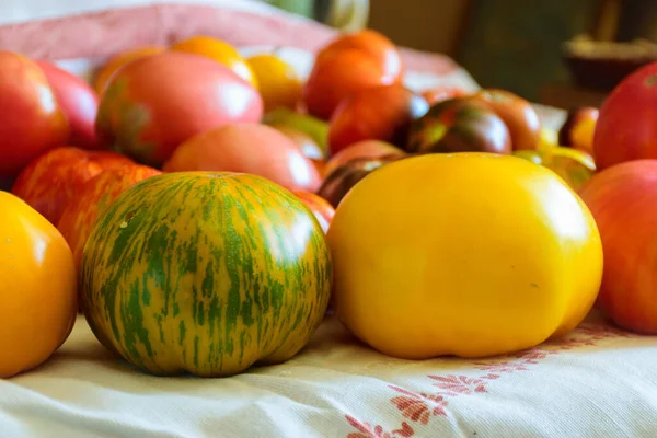 Photo Beautiful Tomatoes Table Healthy Diet Autumn Harvest Tomatoes Different — Fotografia de Stock