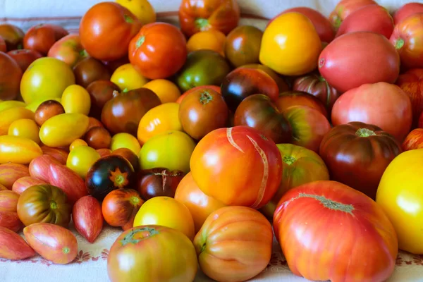 Photo Beautiful Tomatoes Table Healthy Diet Autumn Harvest Tomatoes Different Stockfoto