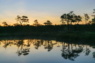 Muhteşem bir gündoğumu resmi, muhteşem bir gökyüzü, gün doğumunda bataklık, sabah erkenden bataklıkta büyülü bir sabah.