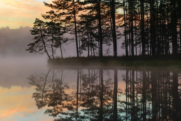 표면을 나무들로 이루어진 실루엣 반사되어 아름다운 — 스톡 사진