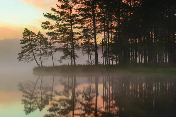 Une Magnifique Image Lever Soleil Avec Ciel Magnifique Brouillard Couvrant — Photo