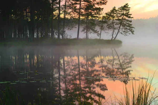 Прекрасная Картина Восхода Солнца Великолепным Небом Туман Покрывающий Поверхность Озера — стоковое фото