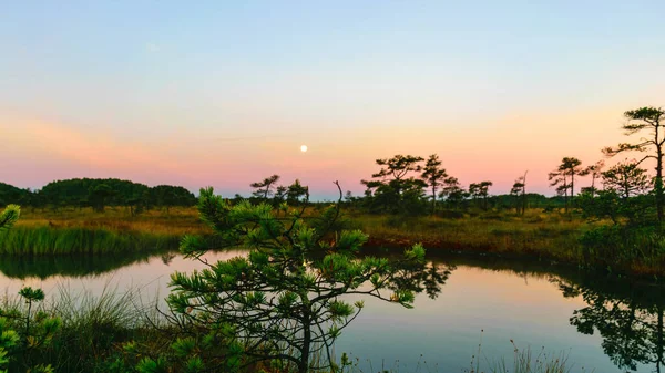 Wonderful Sunrise Picture Gorgeous Sky Marsh Sunrise Moon Setting Sky — Stock Photo, Image