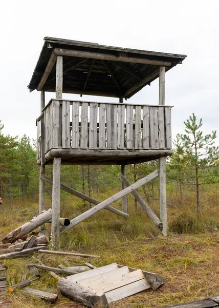 Stara Drewniana Wieża Widokowa Skraju Bagien Jesienią Roślinność Bagienna — Zdjęcie stockowe