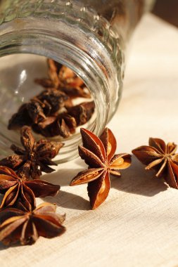 yıldız anason kavanoz içinde