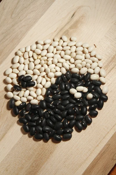 Bean の陰と陽 — ストック写真