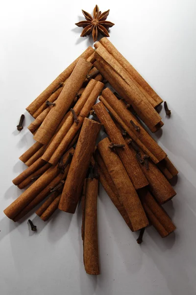 Christmas cinnamon tree — Stock Photo, Image