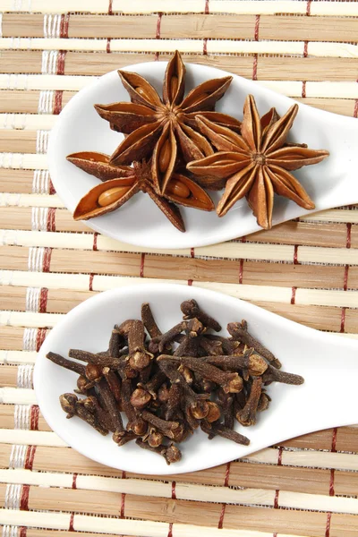 Star anise and clove — Stock Photo, Image