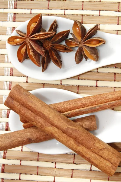 Star anise and cinnamon sticks — Stock Photo, Image