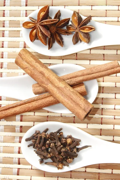 Star anise with cinnamon sticks and cloves — Stock Photo, Image