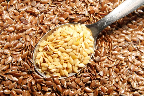 Golden and brown flax seeds — Stock Photo, Image