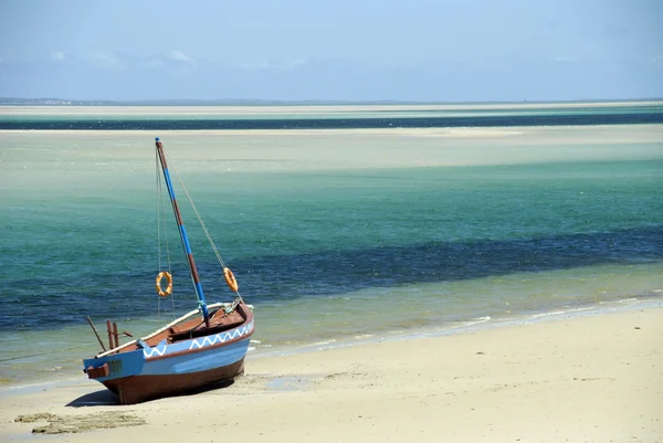 Dhow — Stockfoto