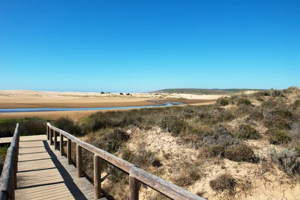 Portugal praia e dunas — Fotografia de Stock