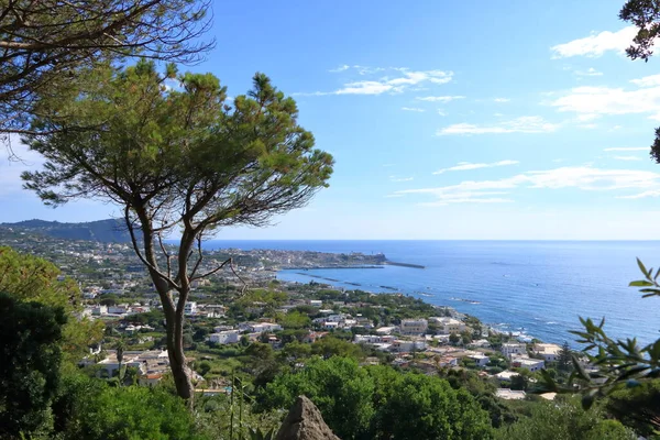 Vue Aérienne Forio Île Ischia Italie — Photo