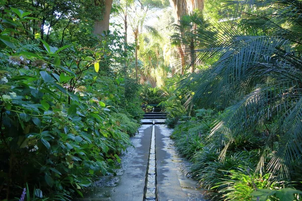 Jardim Botânico Mortella Ischia Forio Itália — Fotografia de Stock