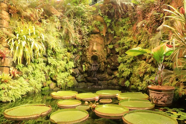 Jardim Botânico Mortella Ischia Forio Itália — Fotografia de Stock