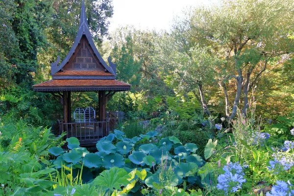 Jardin Botanique Mortella Ischia Forio Italie — Photo