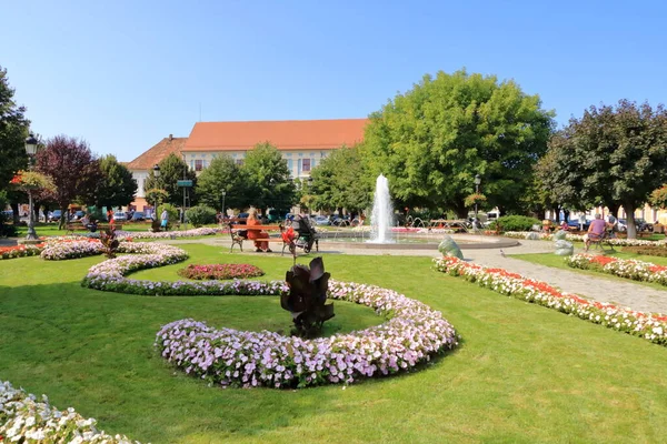 September 2021 Medias Mediasch Rumänien Park Stadtzentrum — Stockfoto