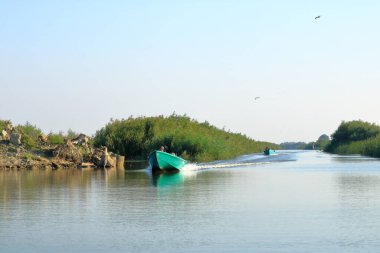 Romanya 'da bir balıkçı teknesiyle Tuna Deltası manzarası