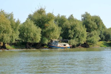 Terk Edilmiş Gemi Kazası Romanya 'da Tuna Deltası
