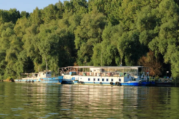 Дельта Дунаю Румунія — стокове фото