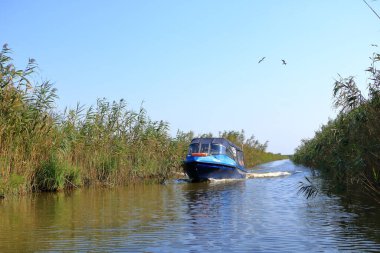 Romanya 'da Tuna Deltası' nda turistler için tekne