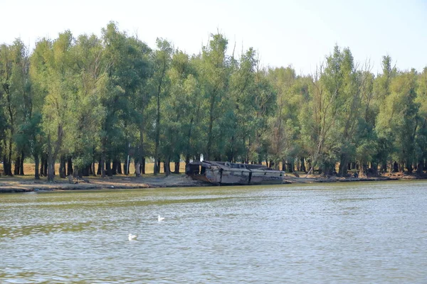 Terk Edilmiş Gemi Kazası Romanya Tuna Deltası — Stok fotoğraf