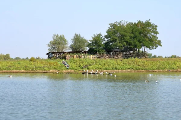 Village Traditionnel Dans Delta Danube Roumanie — Photo