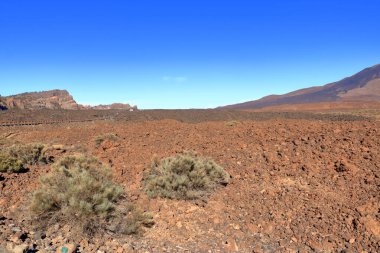 Tenerife adasındaki Teide Ulusal Parkı, lav tarlaları ve Teide volkanı