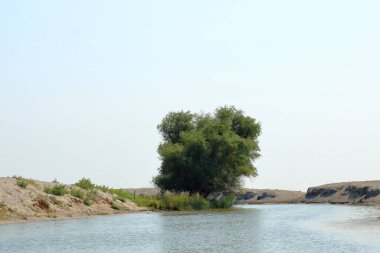 Tuna Deltası 'ndaki küçük nehir kanalı